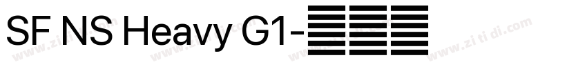 SF NS Heavy G1字体转换 SF NS Heavy G1字体转换